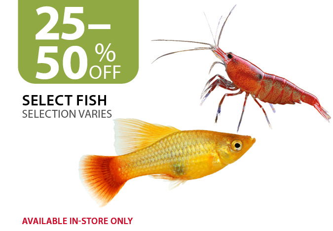 25–50% off Select Fish. Available in-store only