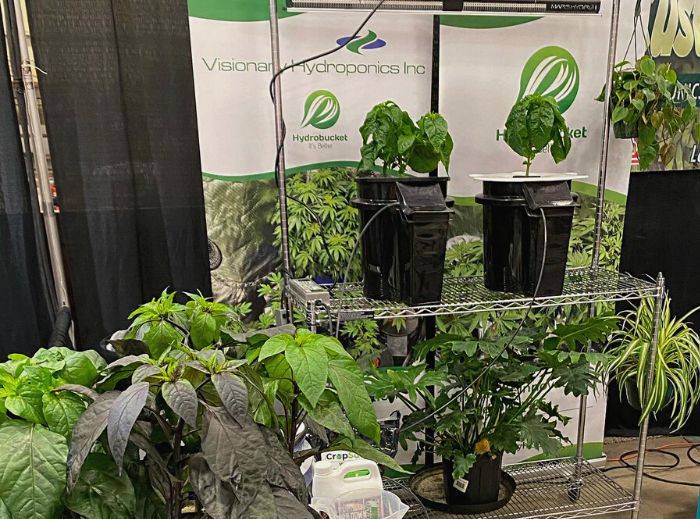 image of best indoor hydroponic grow system with hydrobucket