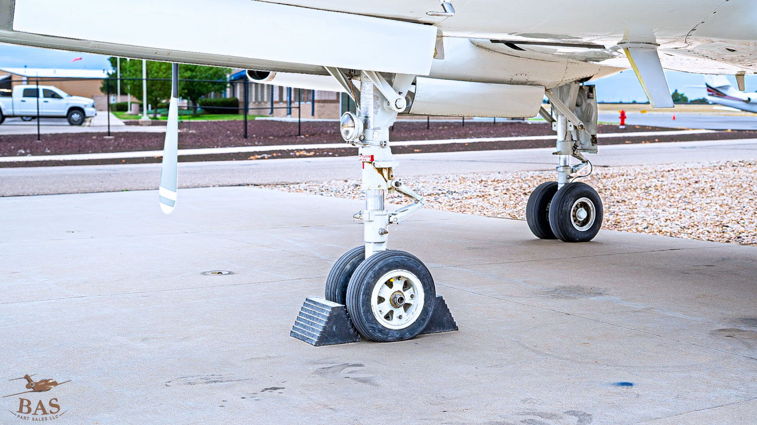 Aircraft landing gear on a tarmac with a small animal nearby.