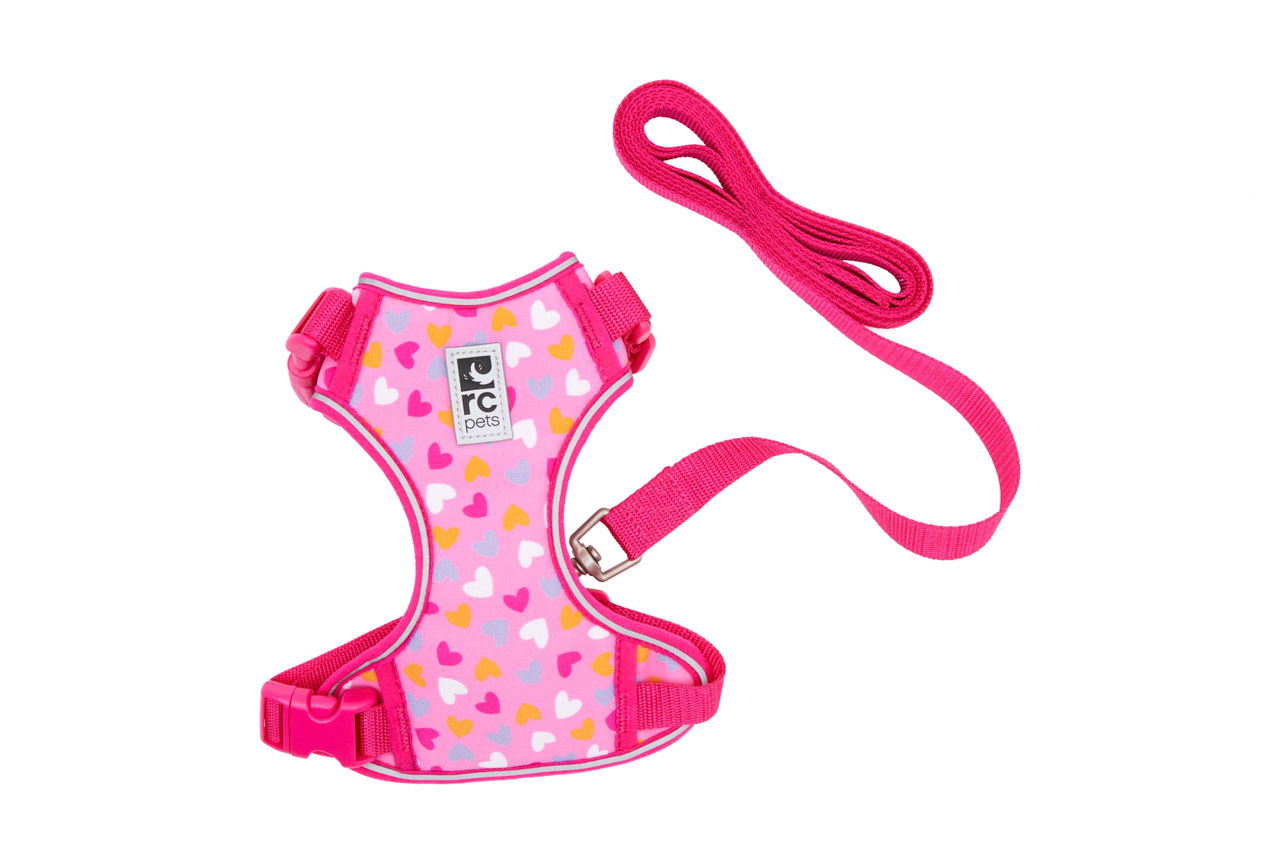 Pink pet harness with hearts and matching leash.