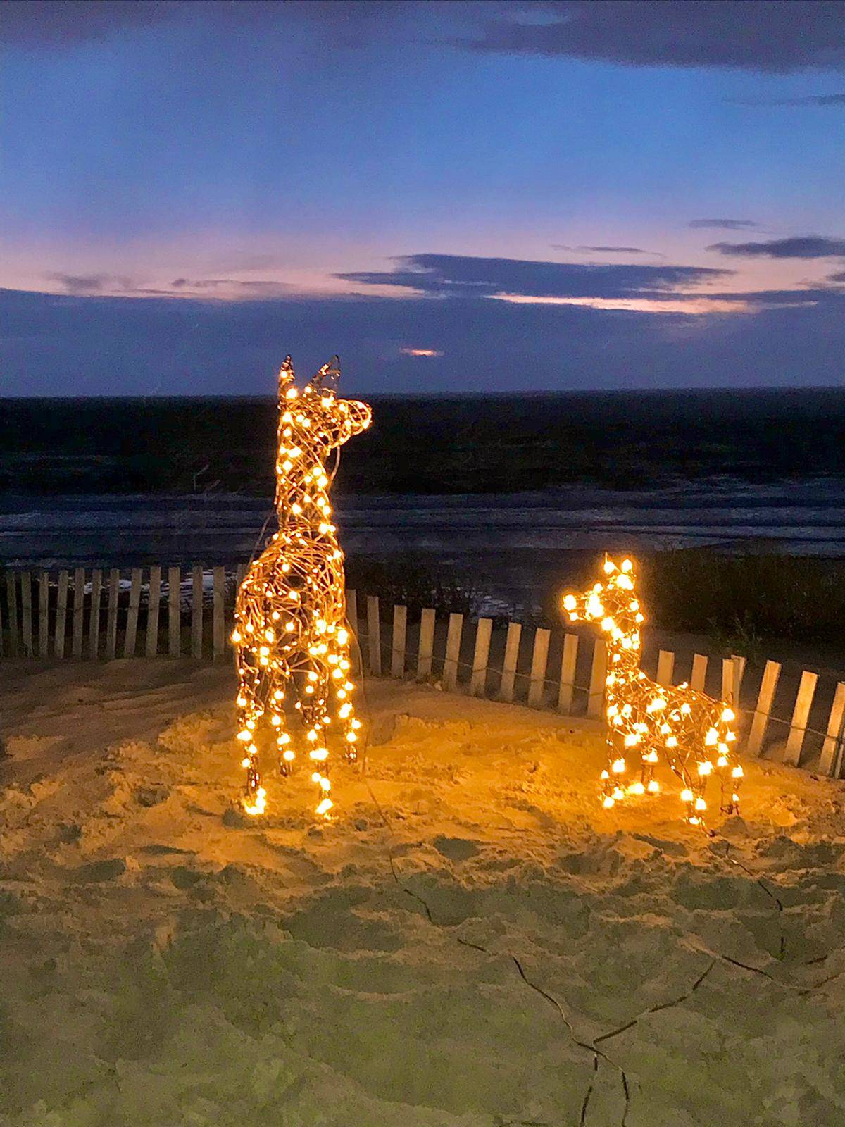 Fawn and doe light up reindeer on a beach in Bordeaux.