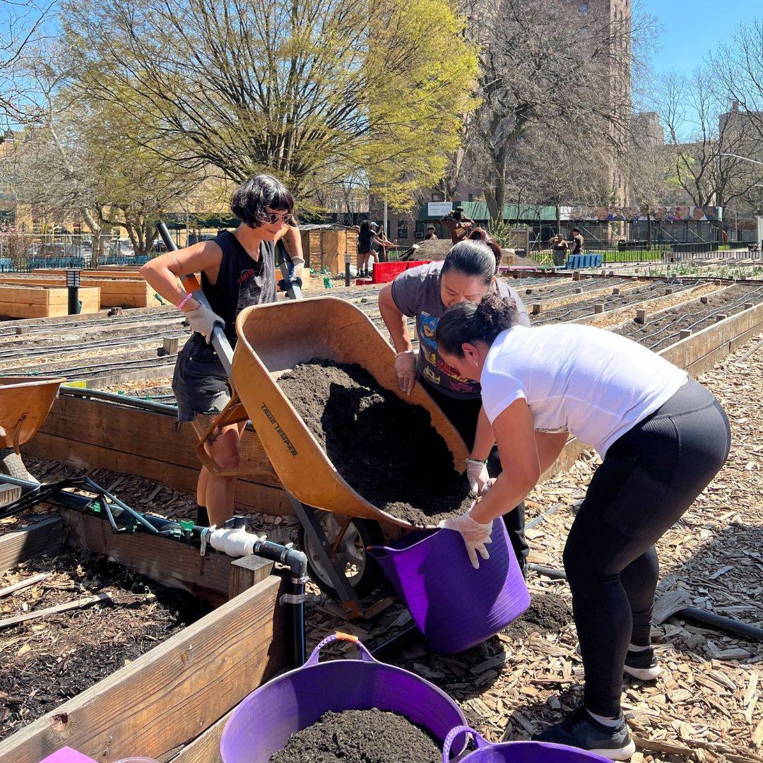 Eva NYC team helping plot soil with Green City Force