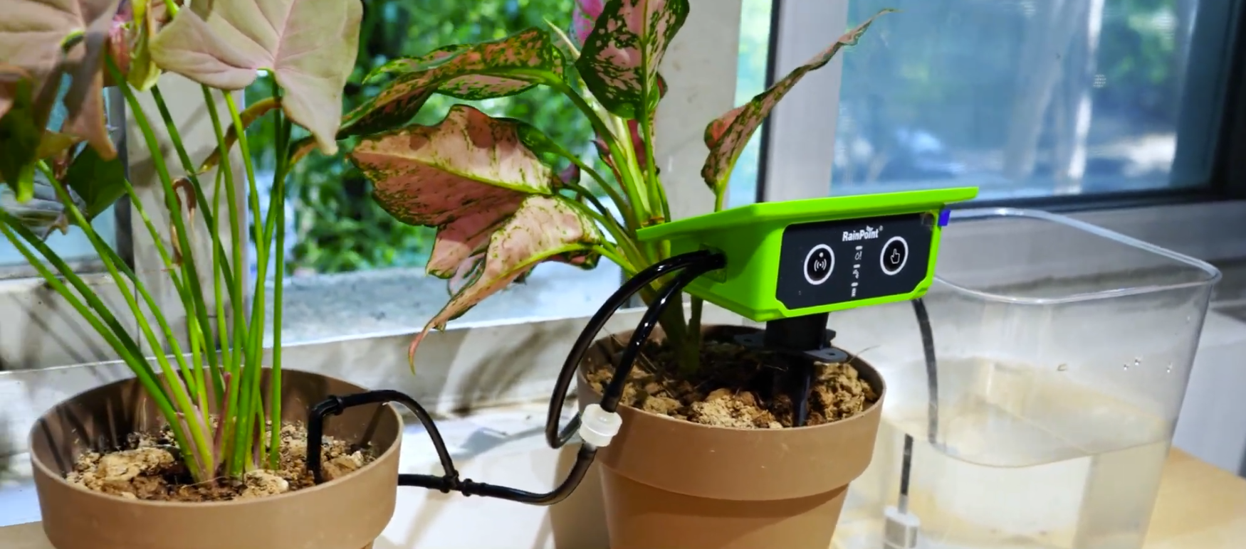 Smart plant monitoring device in potted plants by a window.
