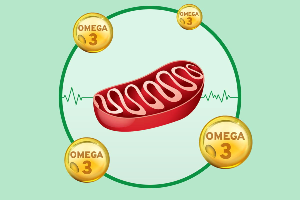 Omega-3 for Mitochondrial Health
