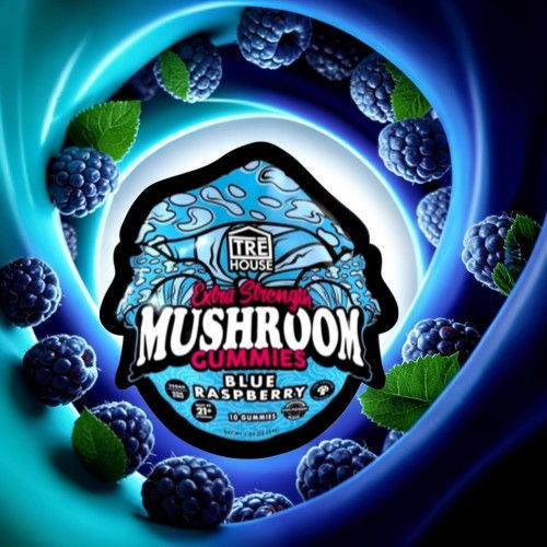 Mushroom gummies packaging featuring blue raspberry flavor with berries in background.