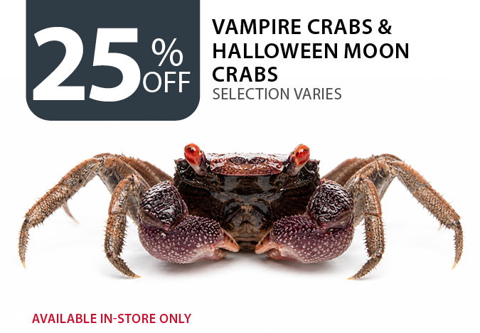 25% off Vampire Crabs & Halloween Moon Crabs. Available in-store only.