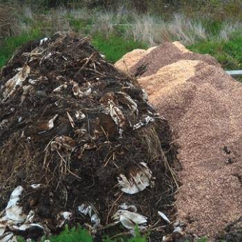 composting bioplastic blog post