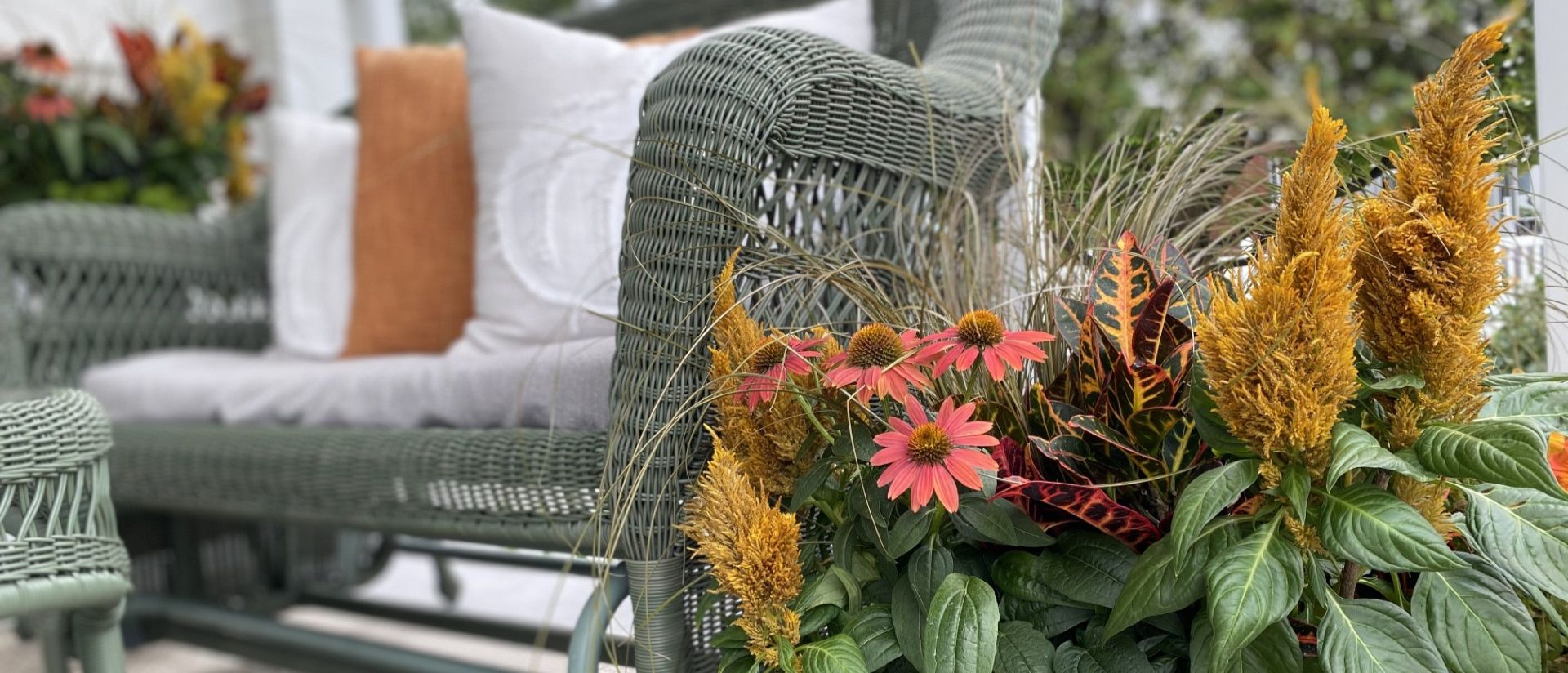 Autumn container garden featuring pink coneflowers, golden celosia, ornamental grass, and colorful croton foliage beside a wicker porch chair.