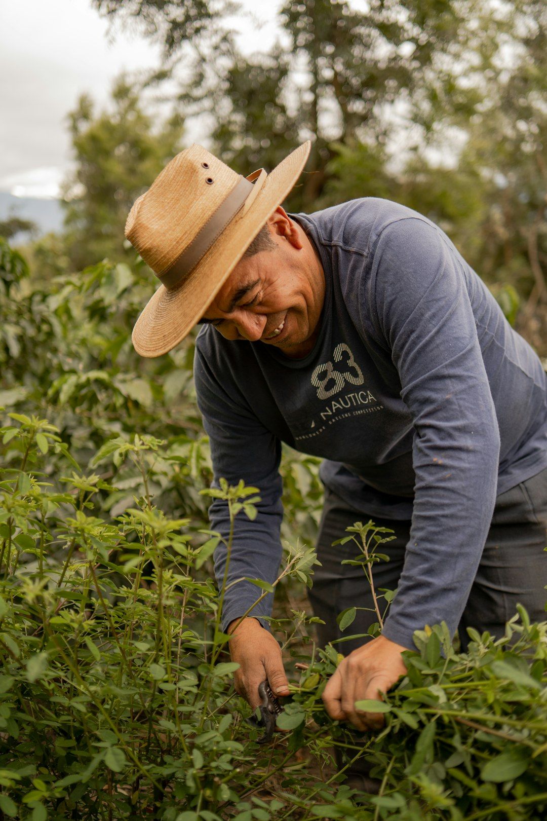 A man in a hat picking plants in a field