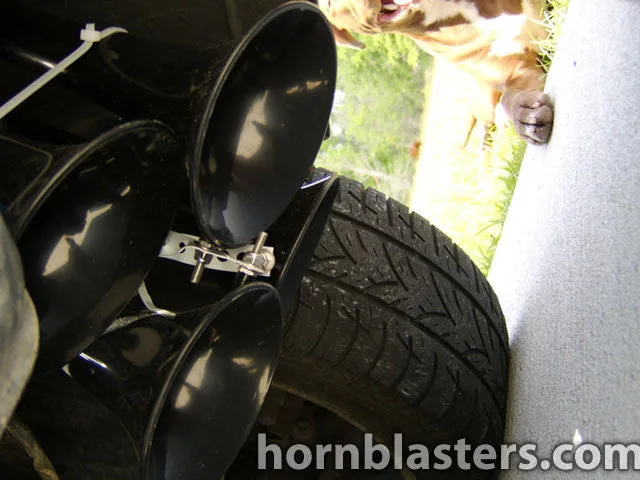 Wide exterior shot of Layne's 2002 Ford Focus with Shocker XL train horns HornBlasters gallery photo 5
