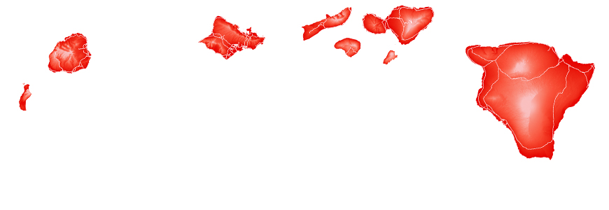 Hawaii map print