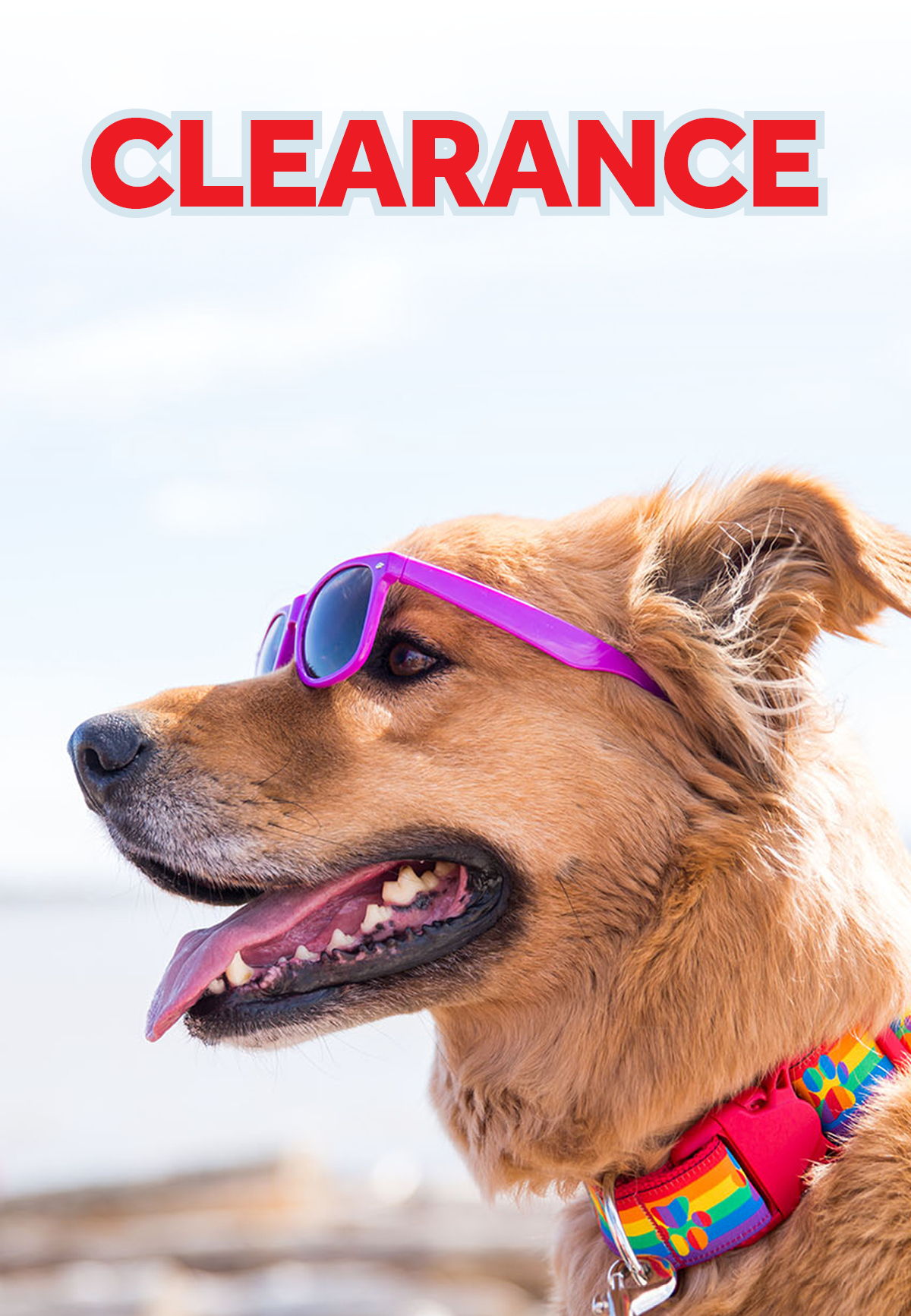 RC Pets Clearance Banner