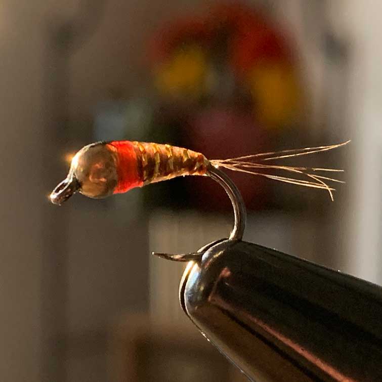 What Are Euro Nymphing Fly Fishing Flies?