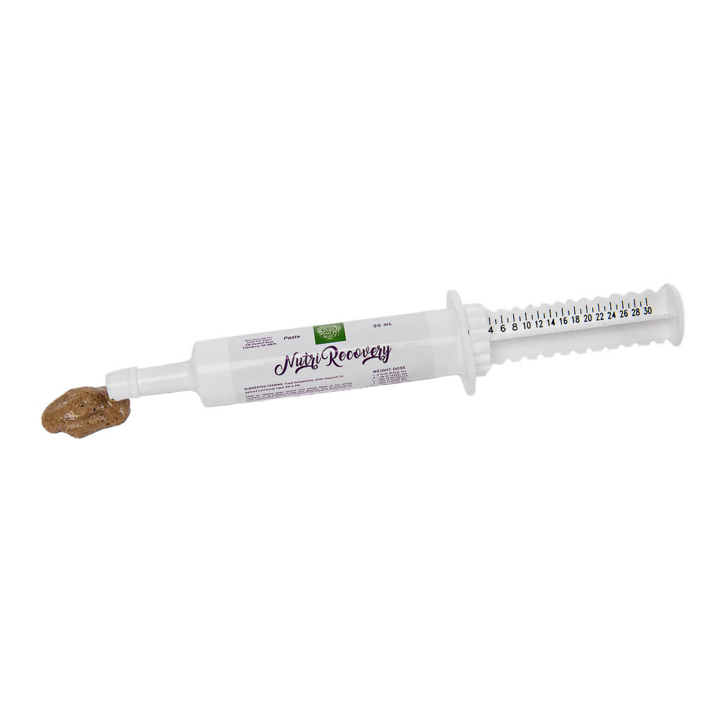 Nutri-Recovery Small Pet Select