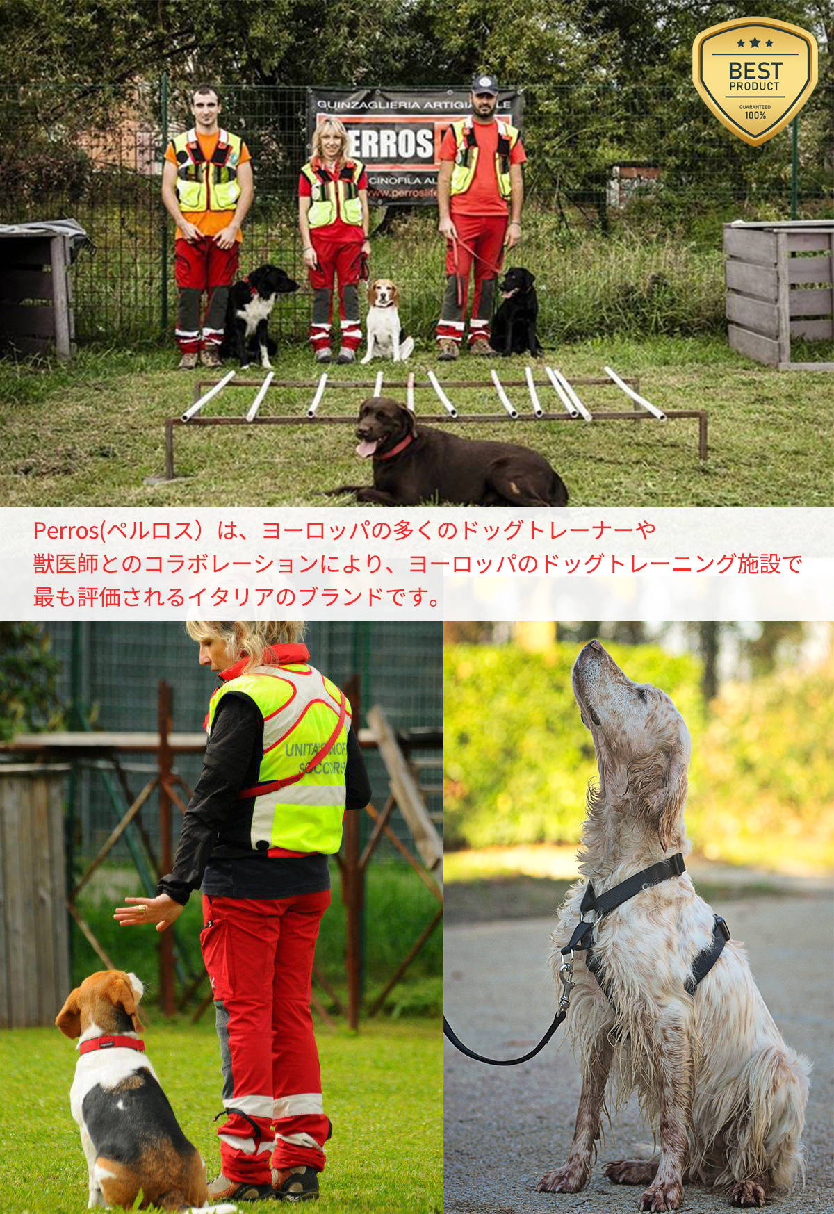 犬 ハーネス ペルロスヘーネス