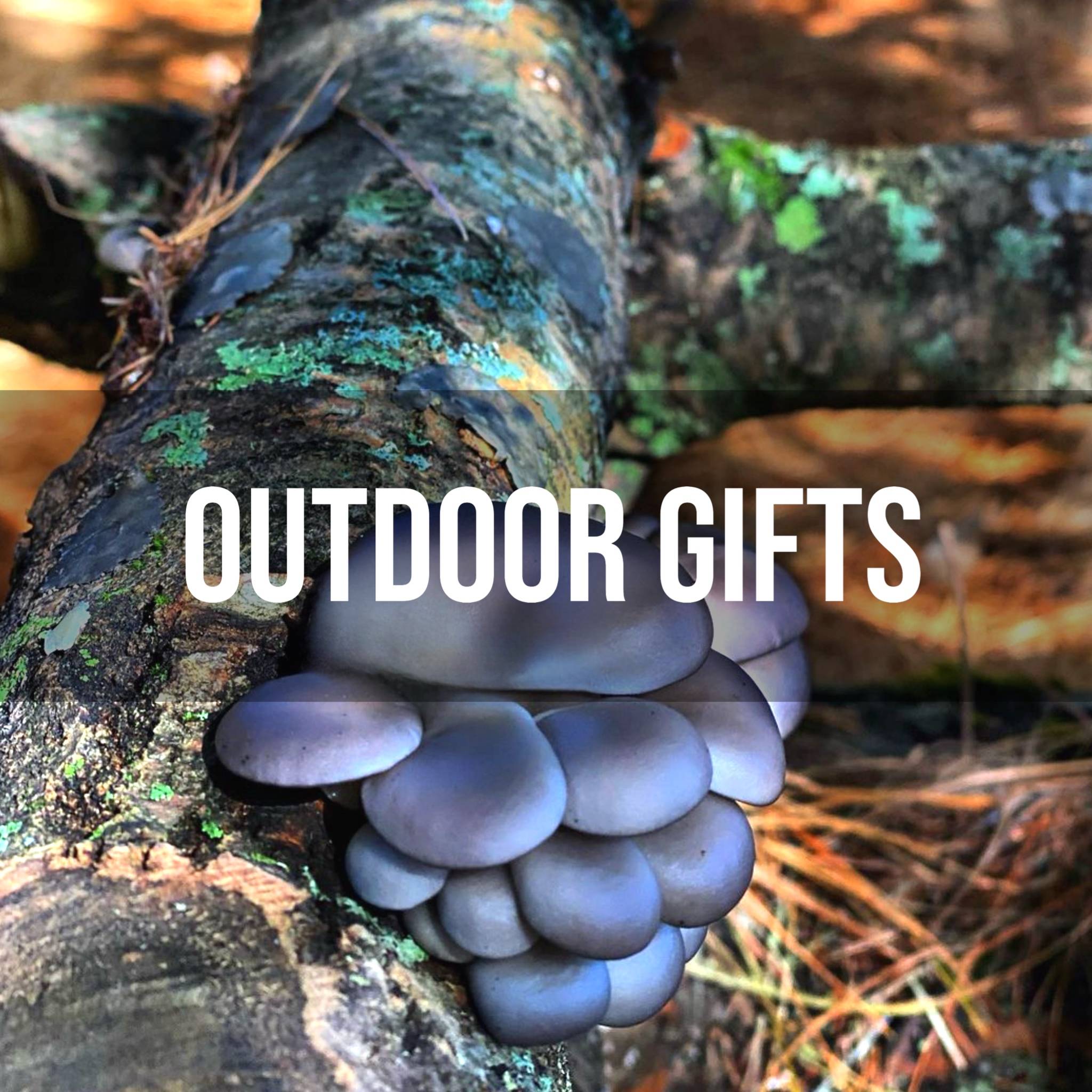 outdoor gifts