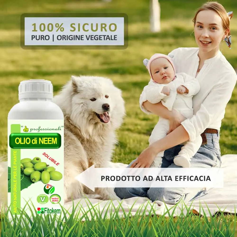 olio di neem piante, insetticida naturale, antiparassitario, trattamento piante, stop corroborante