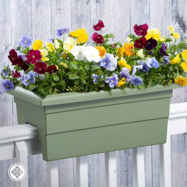 Flowers growing in a sage green Countryside Railing Planter