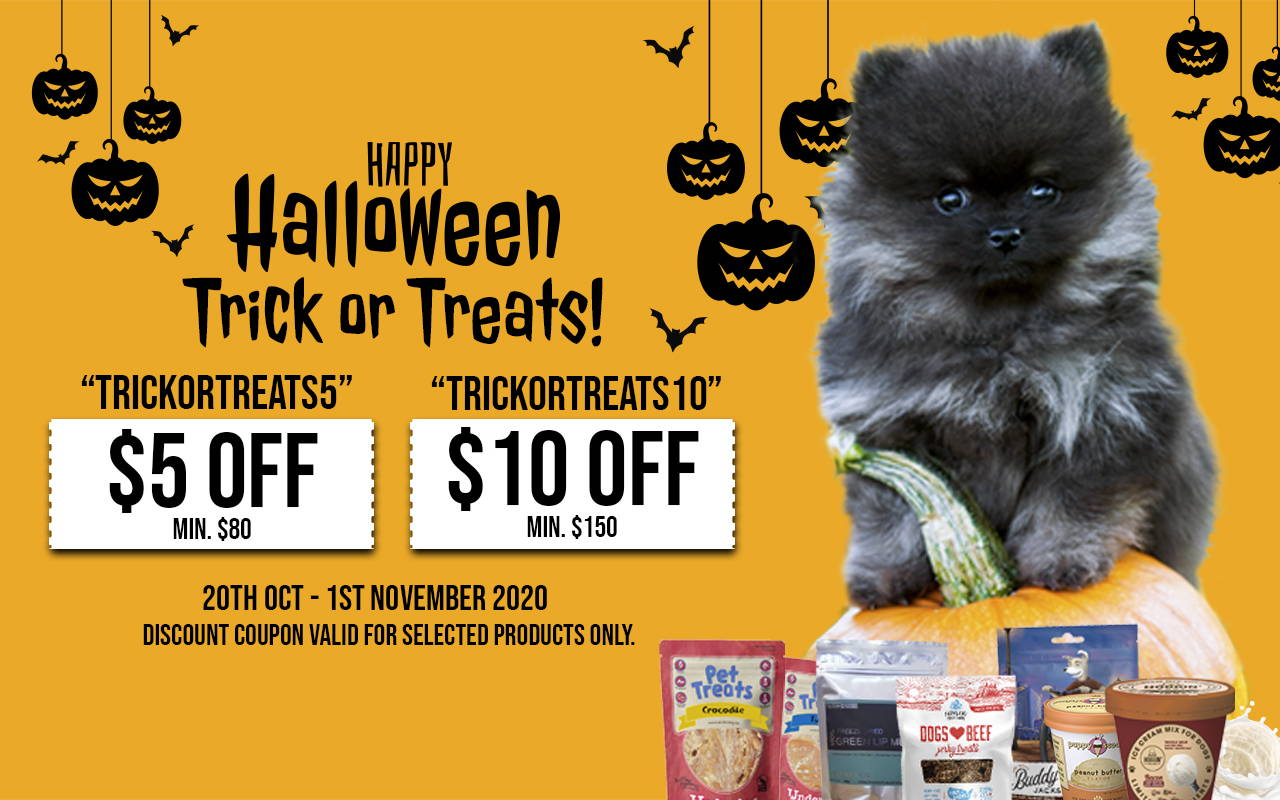 happy halloween trick. ortreats online pet shop singapore pawpy kisses singapore-3.
