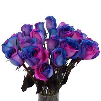 Multicolored Roses - Wat do multicolor roses mean