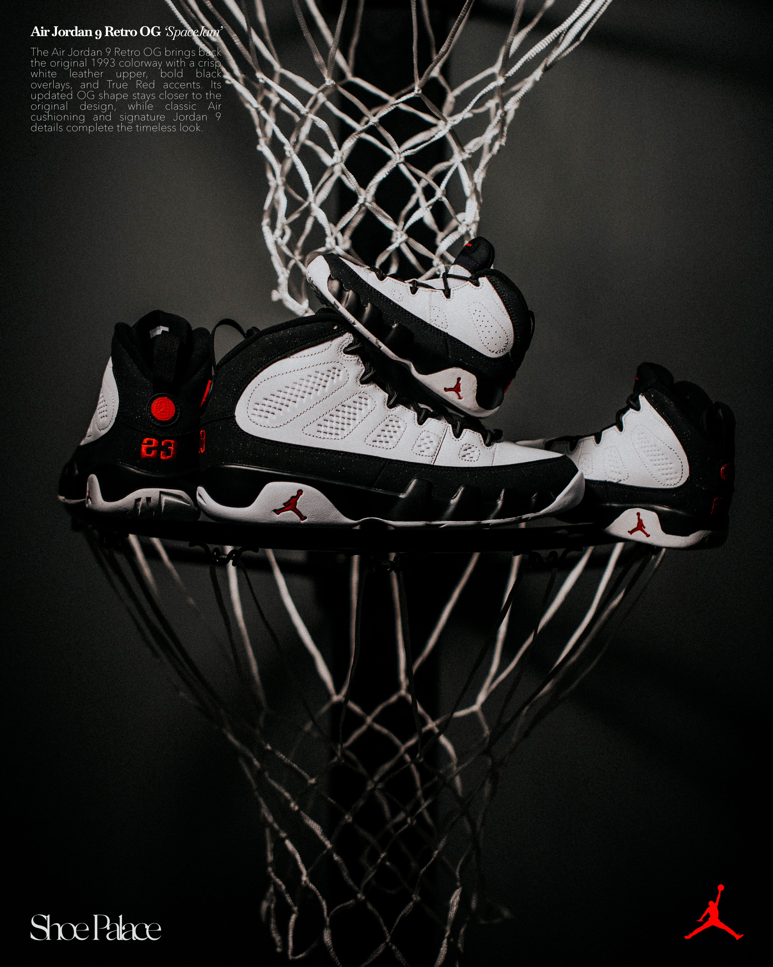 A pair of Air Jordan sneakers resting on a basketball net.
