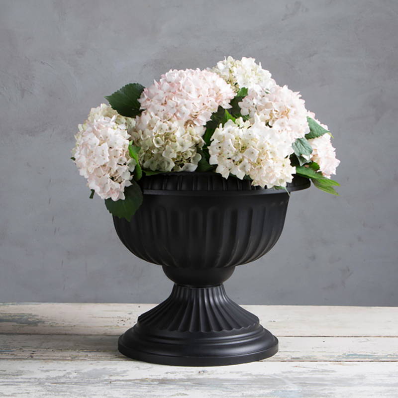 White flowers planted in a black grecian urn