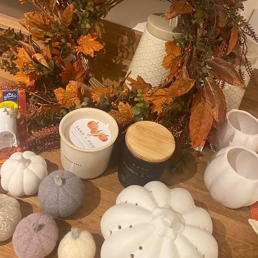 All of my Lights4fun autumn decorations.