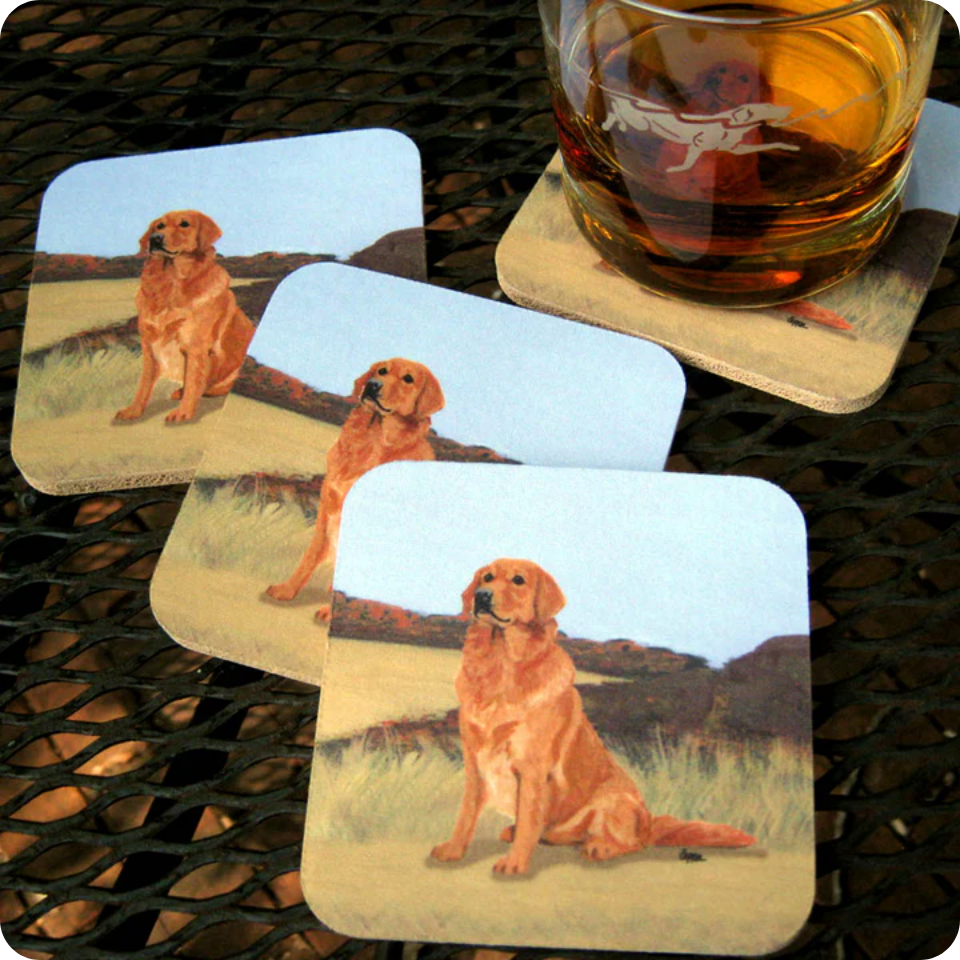 Coaster Sets