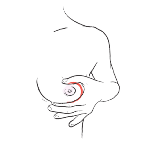 illustration of a c-hold of breast while breastfeeding
