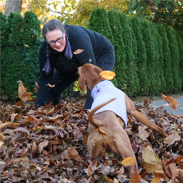 Person playing with a dog in a pile of autumn leaves.