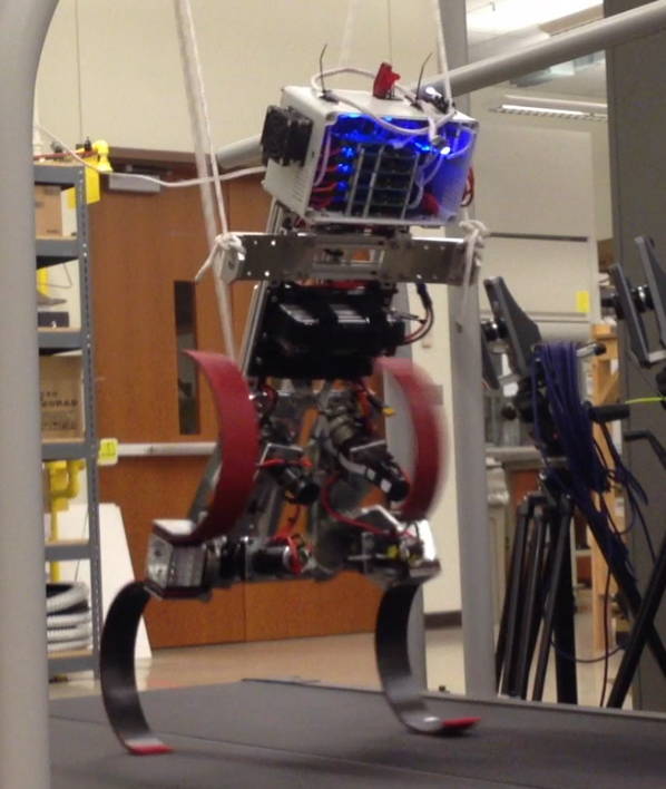 Bipedal Running Robot on Treadmill