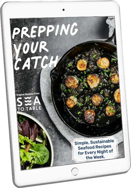 Prepping Your Catch -- Free Recipes Ebook
