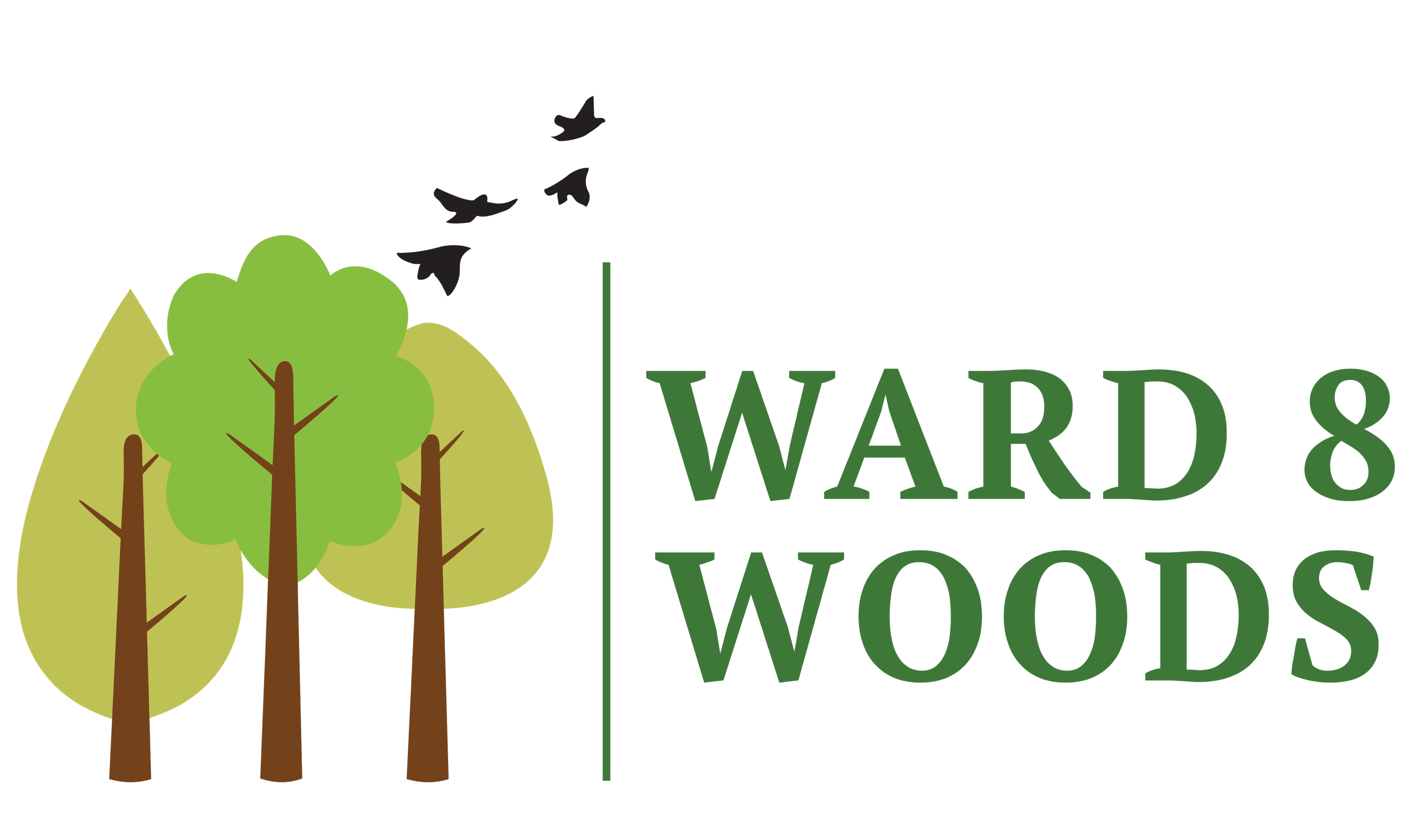 Ward 8 Woods