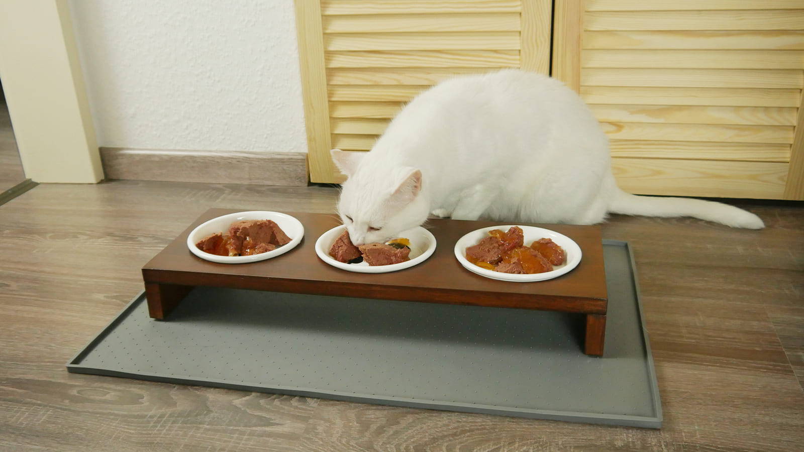 Katze schlingt - All You Can Eat Buffet