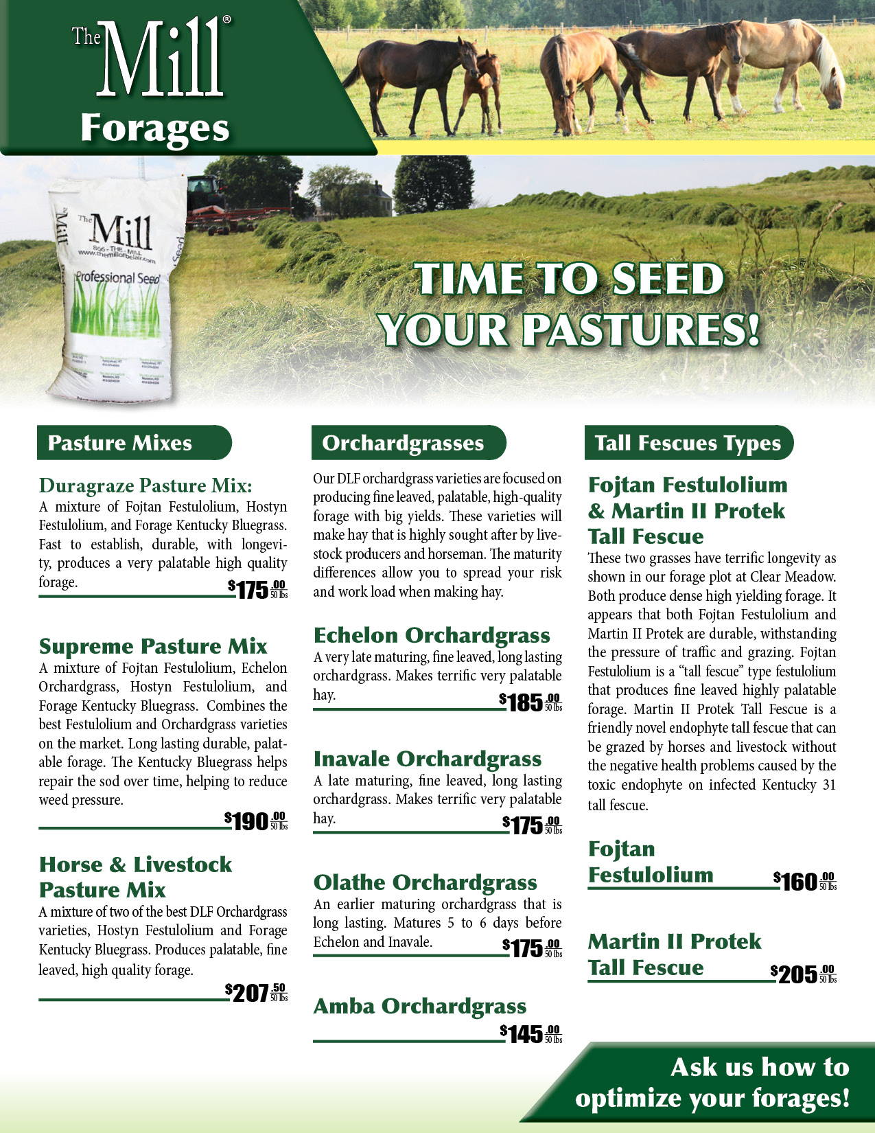 forage, hay, and pasture seed