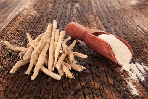 Learn about ashwagandha before you search for ashwagandha near me
