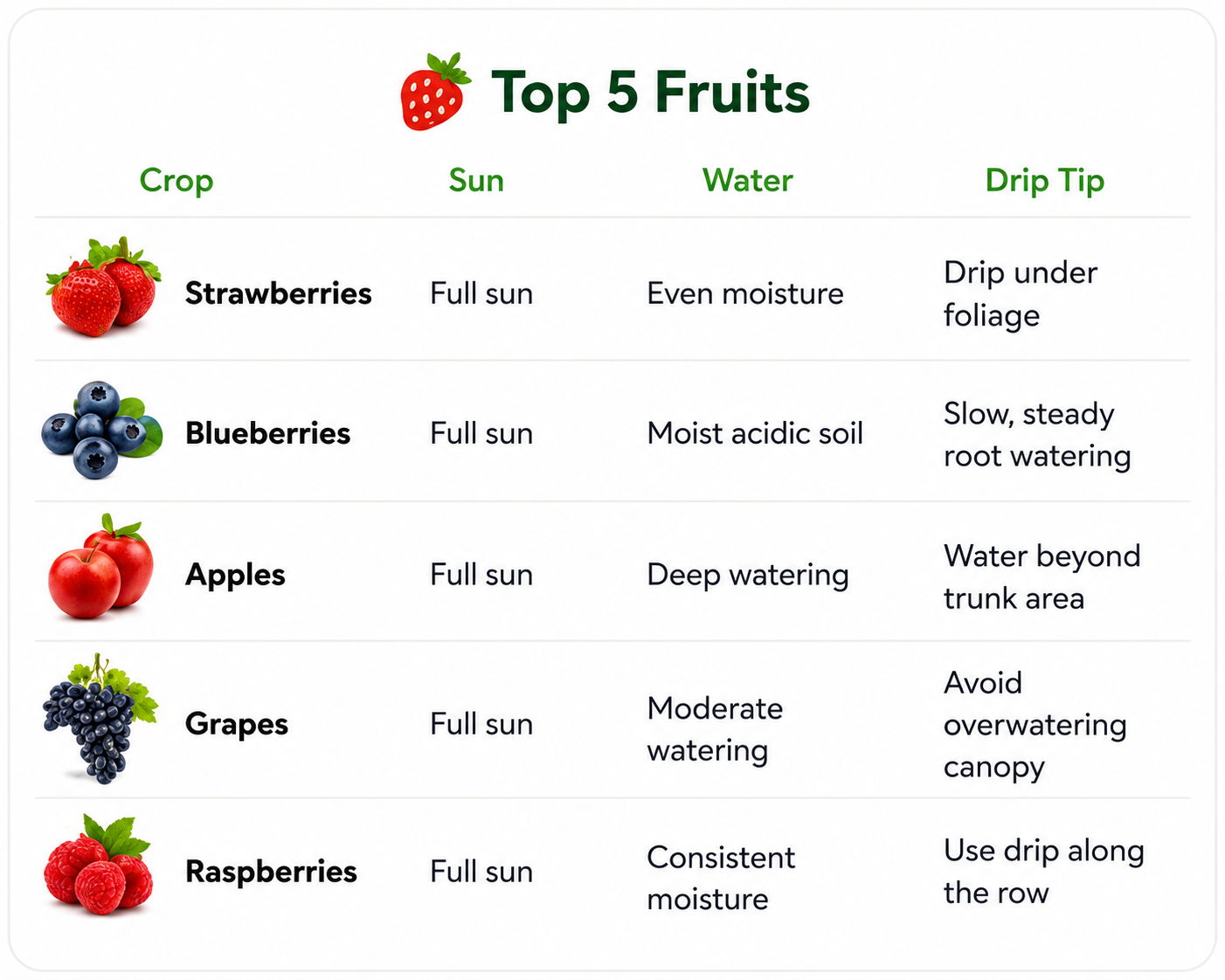 Table of top 5 fruits with care instructions.