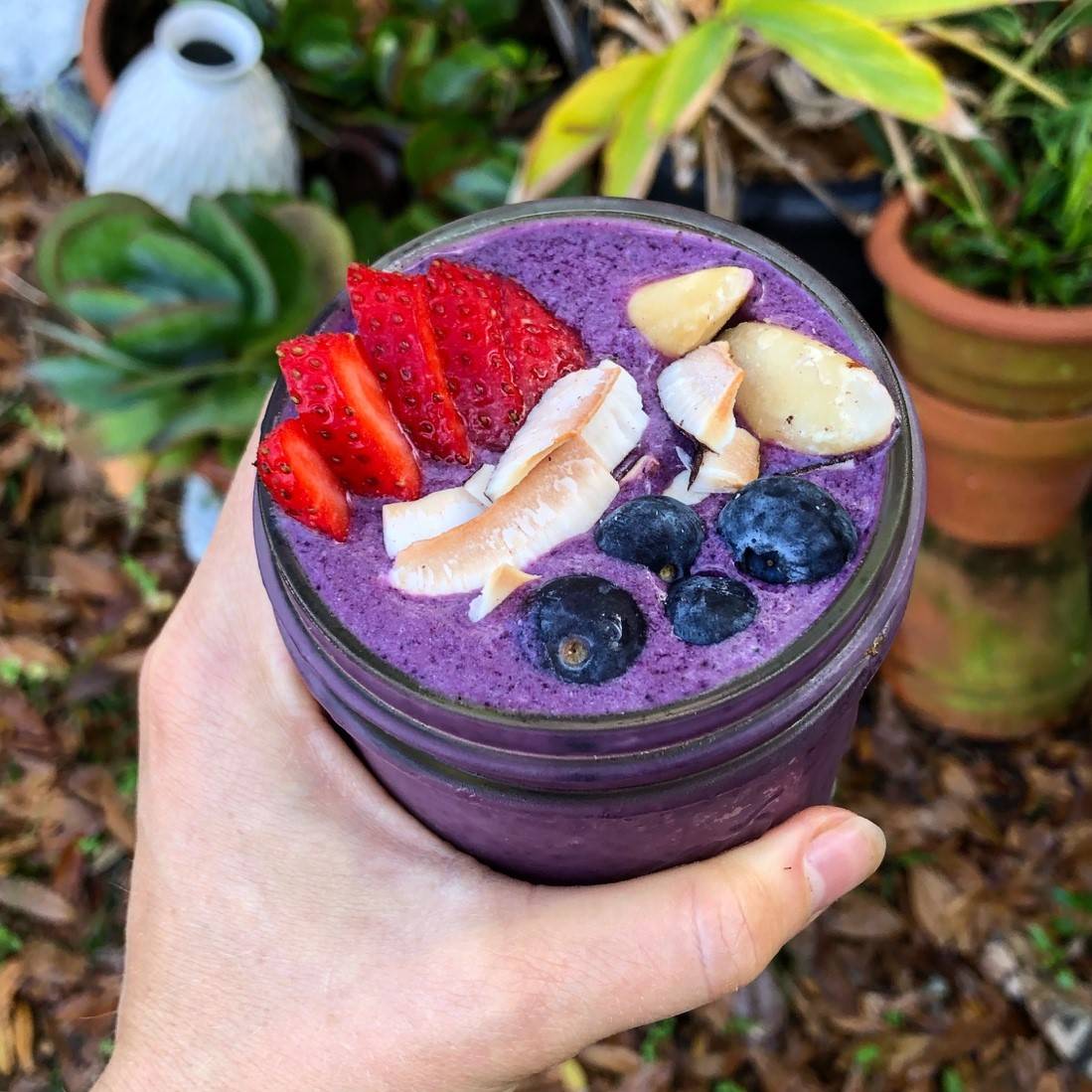 blueberry protein smoothie