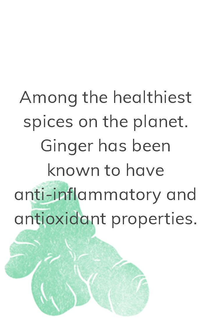 Ginger Root: Among the healthiest spices on the planet. Ginger has been known to have anti-inflammatory and antioxidant properties.