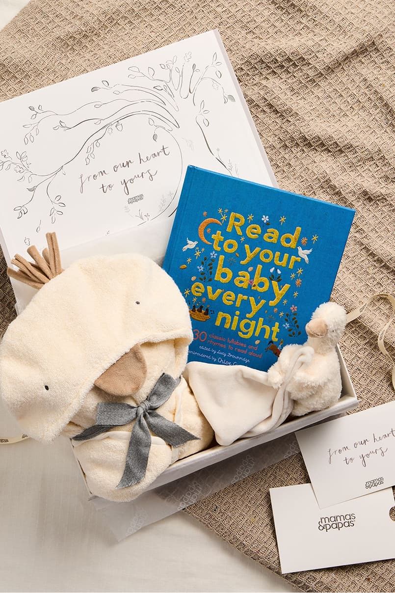 Baby gift box with a book and soft toys.