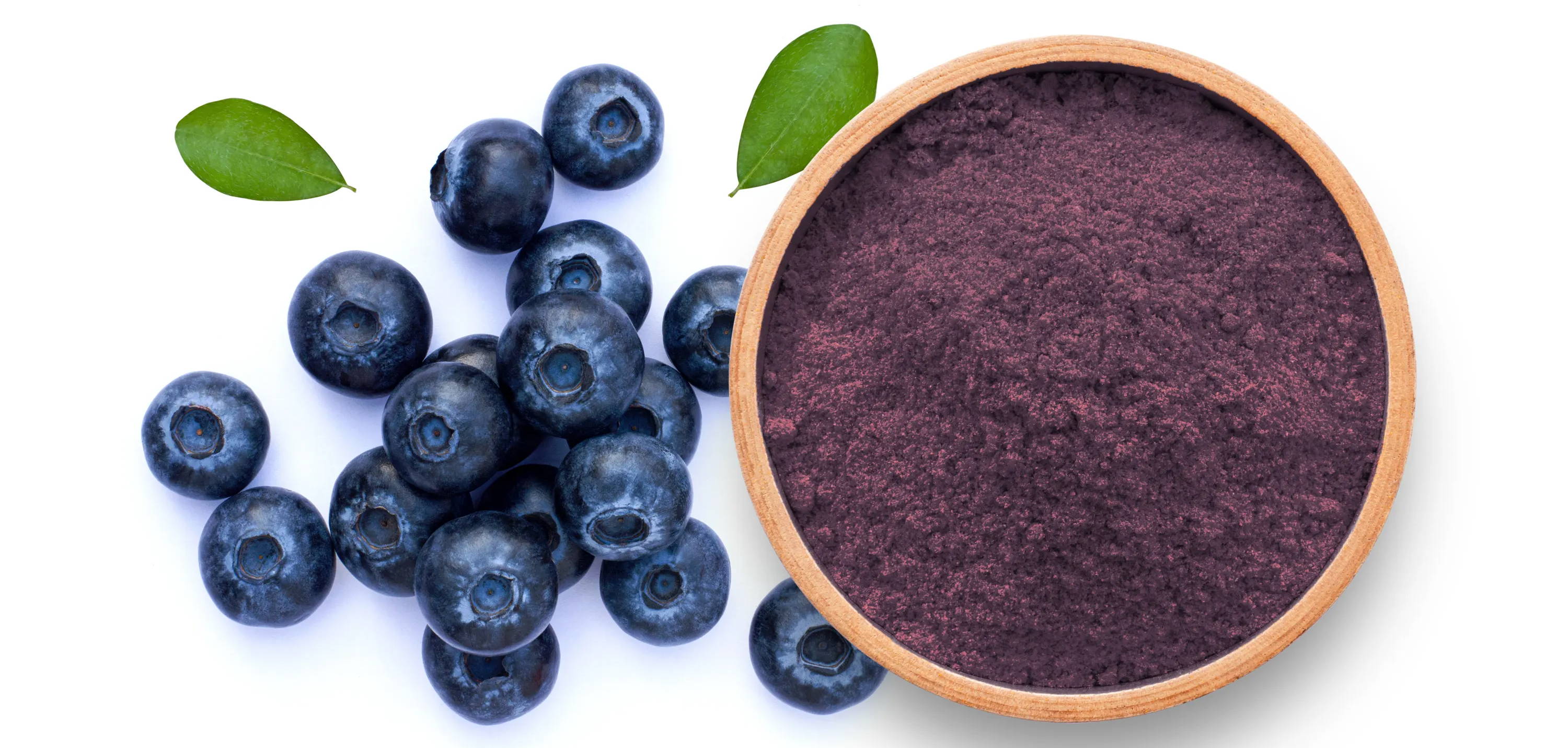 Blueberry powder in wooden bowl and fresh blueberries isolated on white background. Top view. Flatlay.