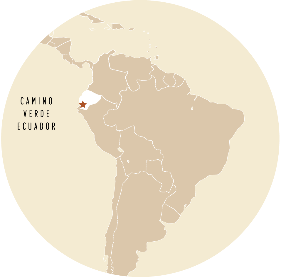 Camino Verde map