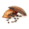 Organic Cocoa
