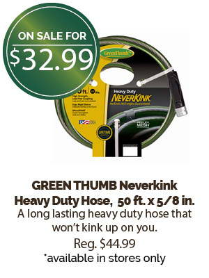 GREEN THUMB Neverkink Heavy Duty Hose, 50 ft. | only in stores.