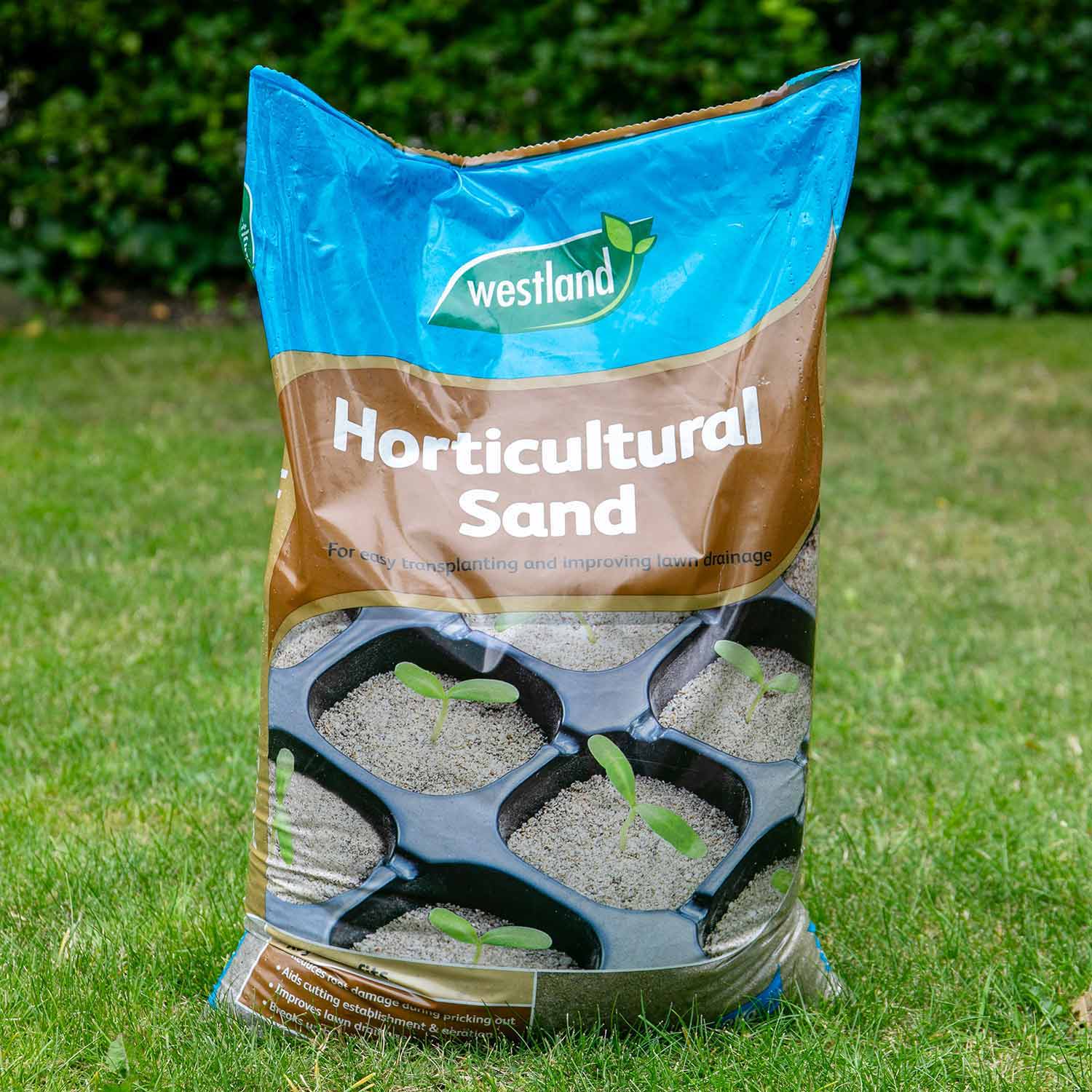 Horticultural Sand