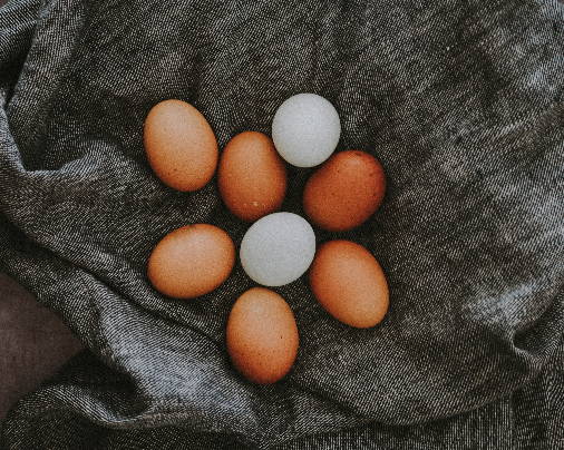 eight eggs on top of grey fabrics