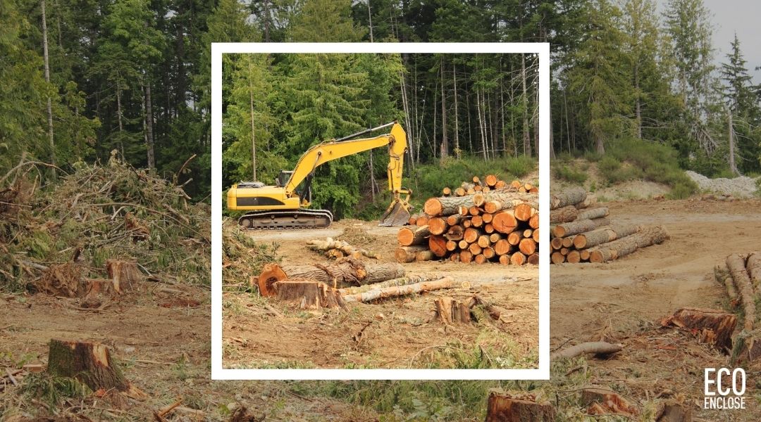 Excavator working in a logged area surrounded by trees and stacked logs.