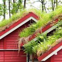 Green roofs on a red building