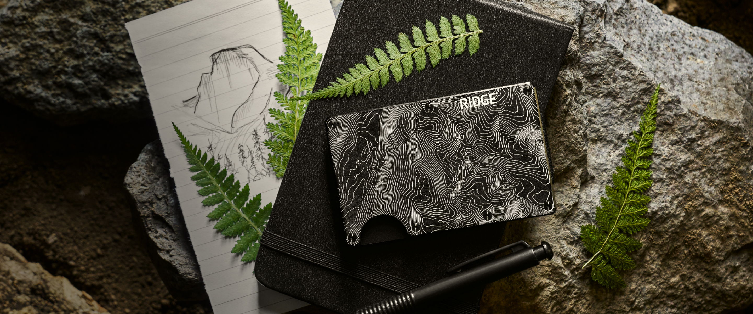 A wallet and sketches on rocks with ferns.