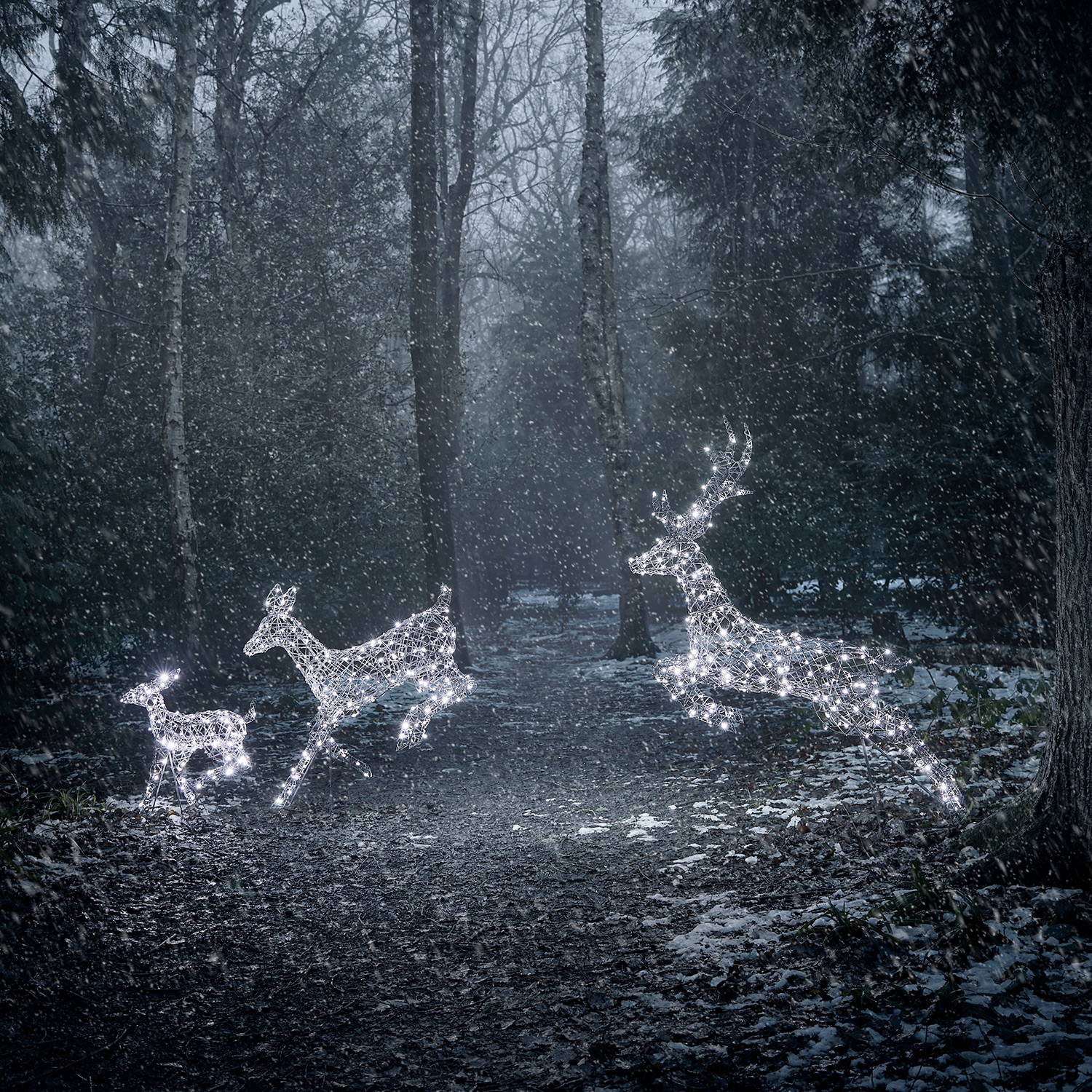 The Harlow Family (white LED setting) in a snowy forest